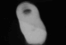 Fotografie UFO in Italia (IV)