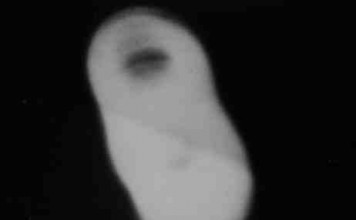 Fotografie UFO in Italia (IV)