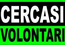 Ricerca volontari